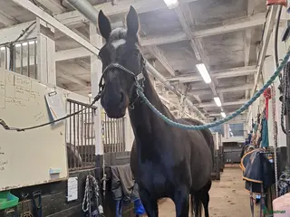 stallplats Stallplats Tungelsta, Haninge i Tungelsta - Annons 2