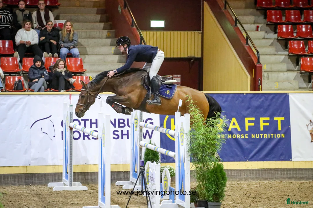  hästservice finnes: Catch Rider/Beridare/Unghästutbildare i Oxelösund - Annons 2