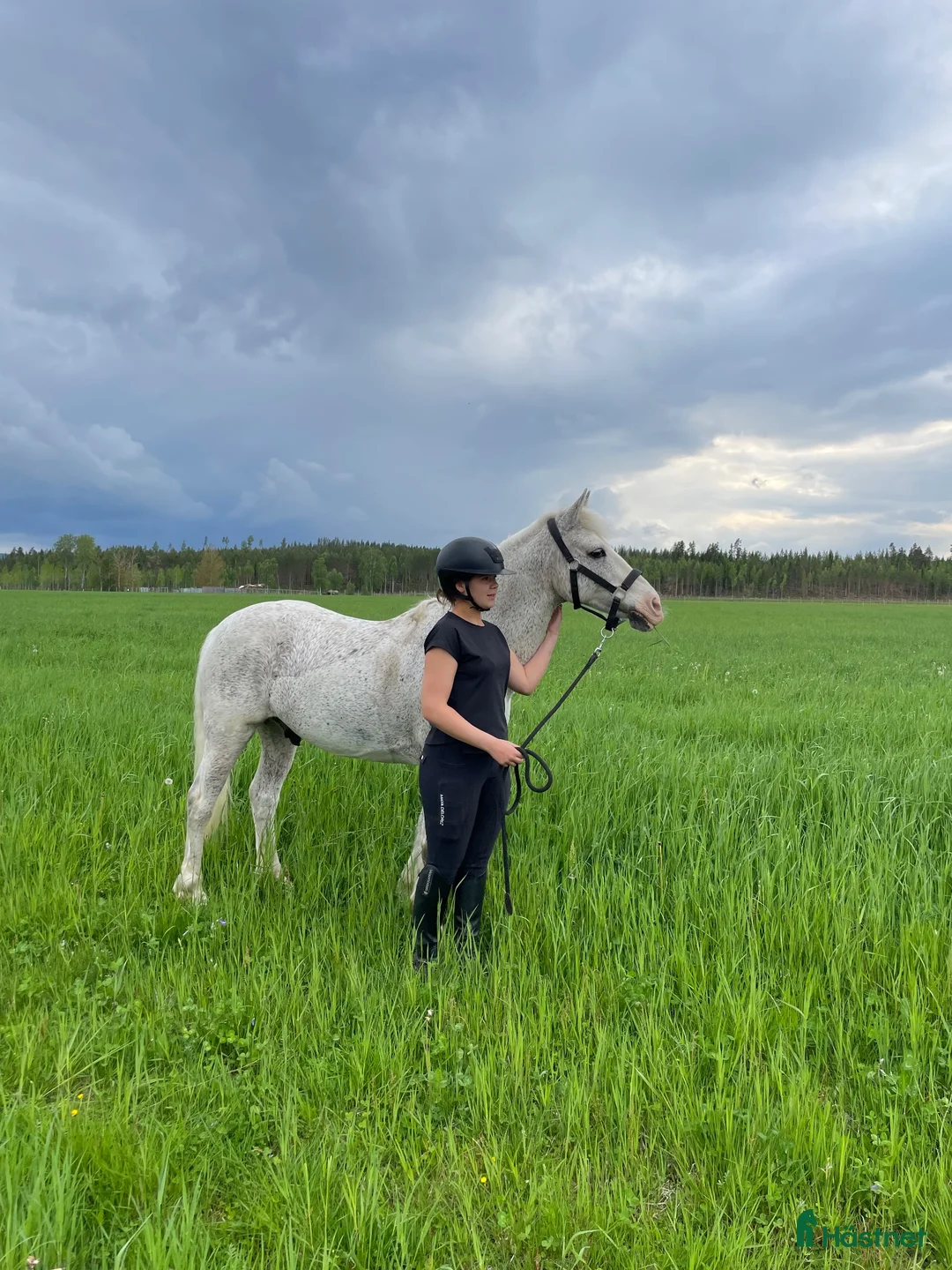 Hoppning hästar till salu: Härlig ponny med stort ❤️  i Dala-Floda - Annons 2