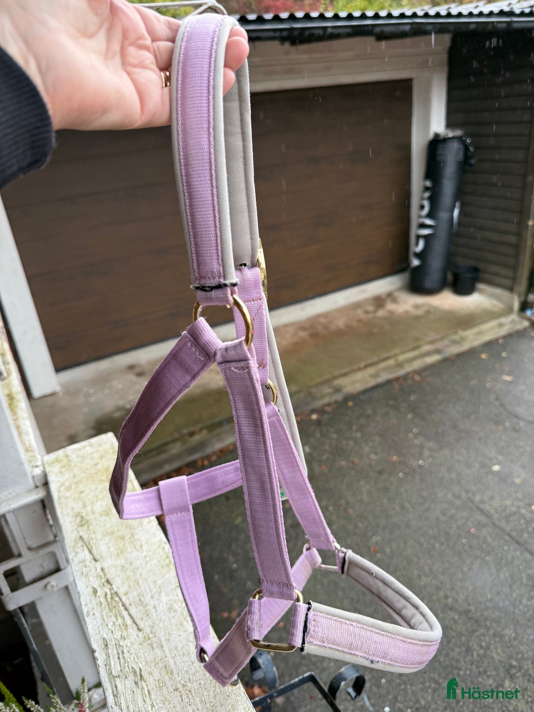 Övrig Hästutrustning hästutrustning till salu: Lila grimma cobstorlek av märket Bucas  i Hålta - Annons 2