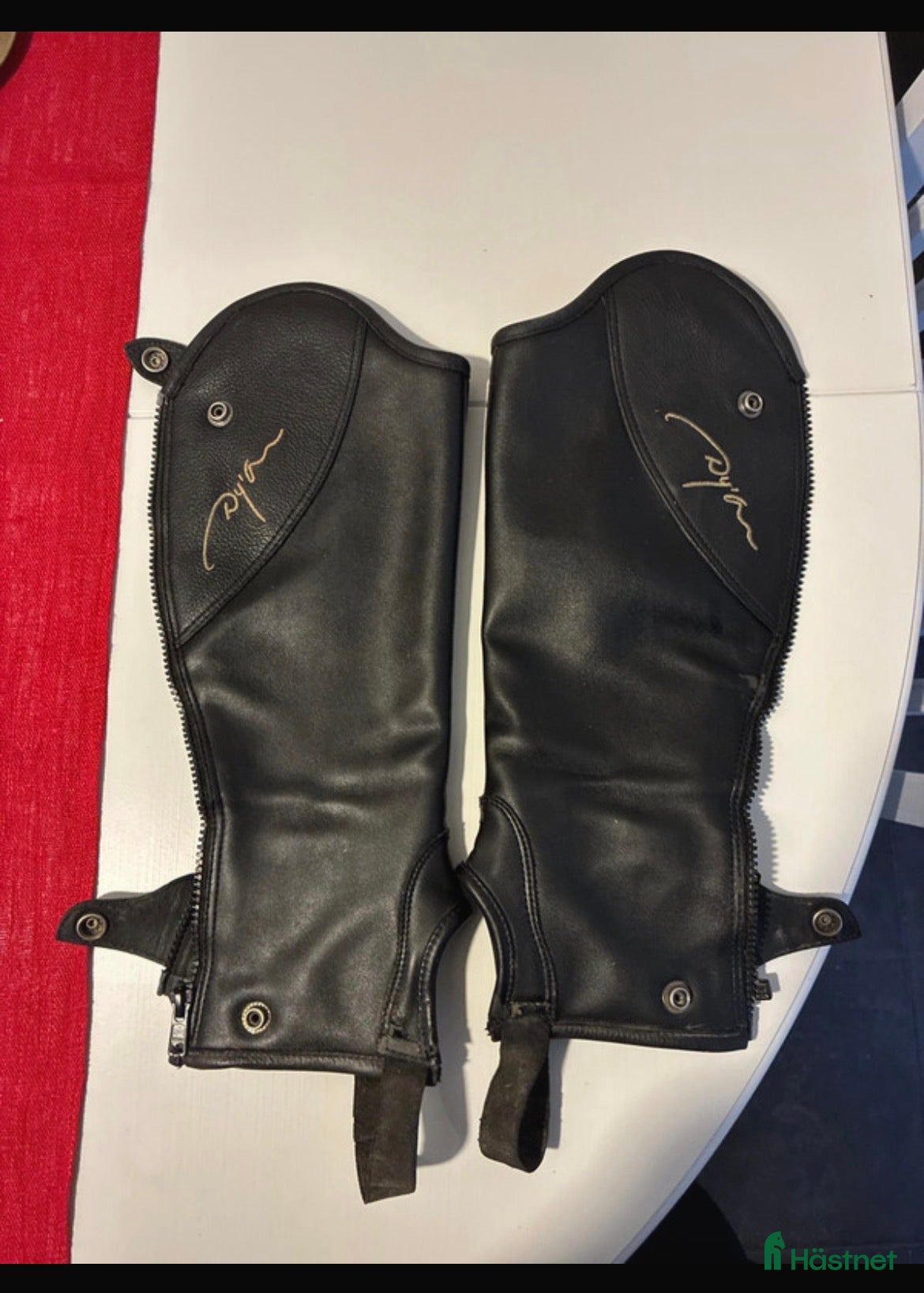 Övrig Ryttarutrustning ryttarutrustning till salu: Dyon chaps - Annons 8