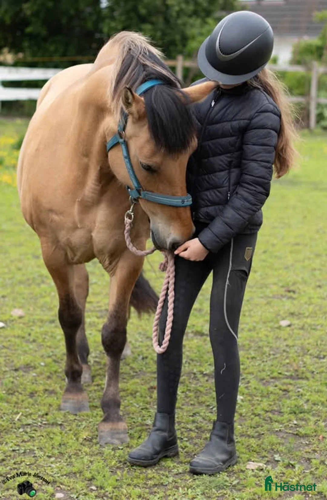 Allround hästar sökes: Medryttare finnes i Helsingborg - Annons 1