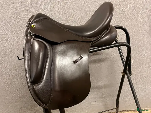 Sadlar hästutrustning Anatomica Cygnus shortroll G3 - Annons 1
