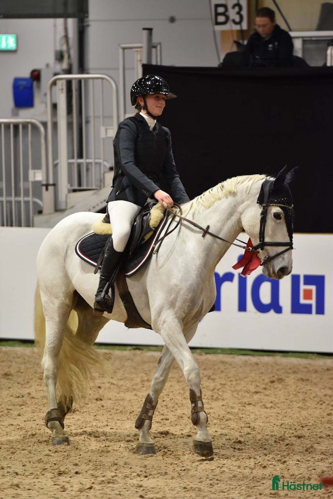 Hoppning hästar till salu: Fantastisk ponny  i Helsingborg - Annons 2