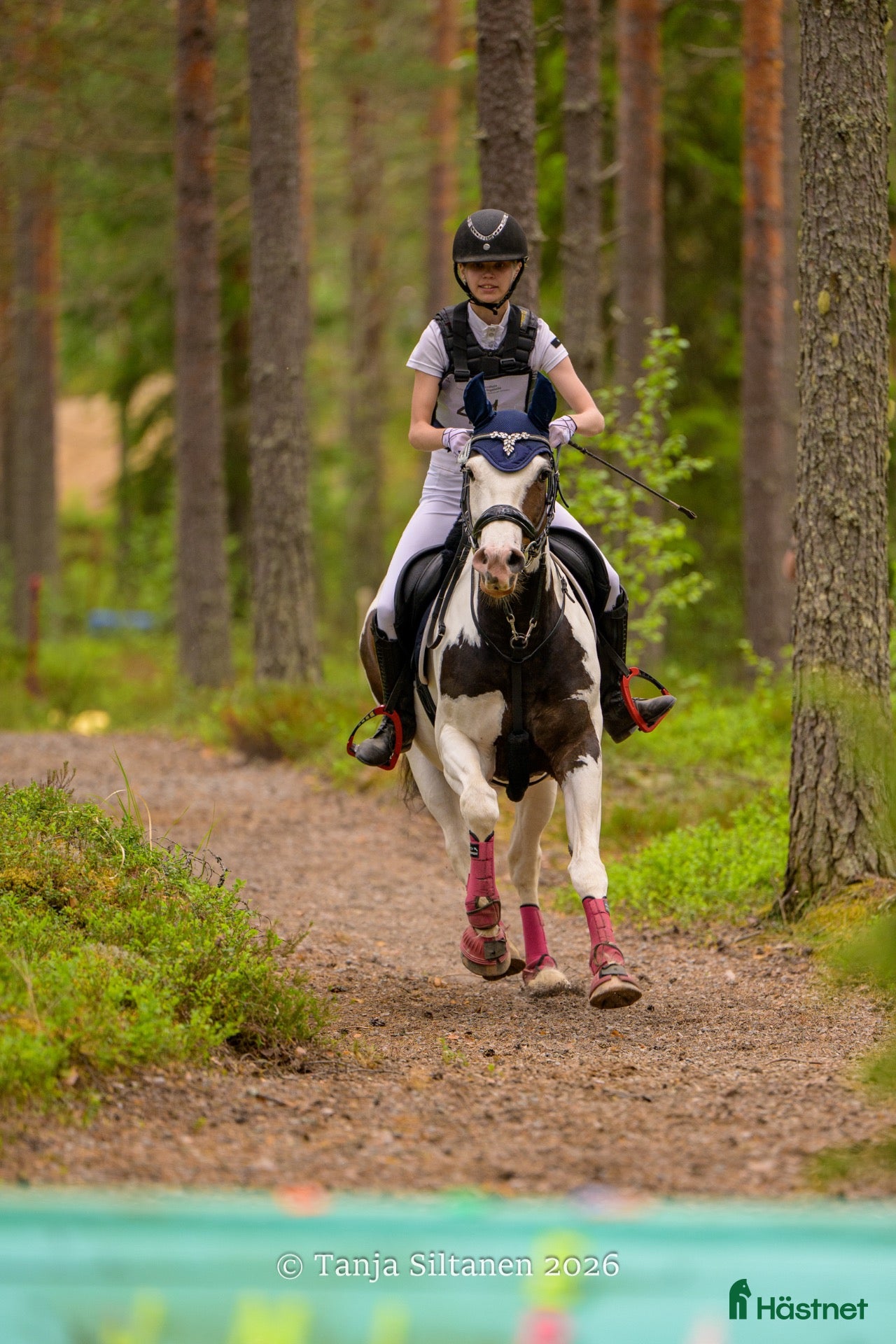  hästjobb Söker stalljob som groom! - Annons 6
