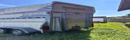 Hästtransporter  fordon & transport till salu: Star trailer zafir - Annons 4