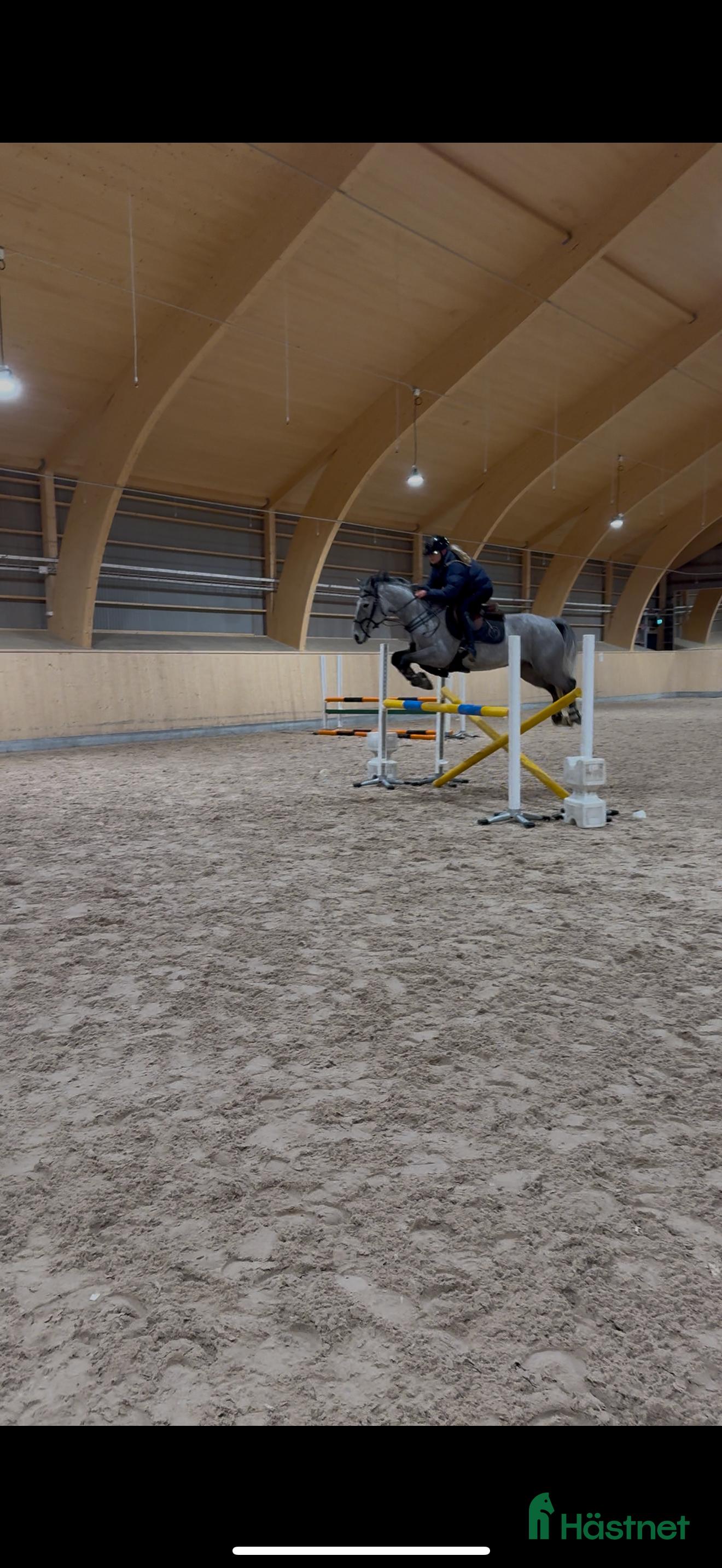  hästar Ponny med kapacitet  i Borlänge - Annons 4