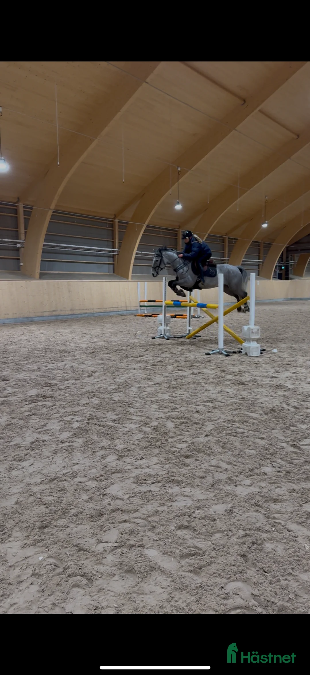 Hoppning hästar till salu: Ponny med kapacitet  i Borlänge - Annons 1