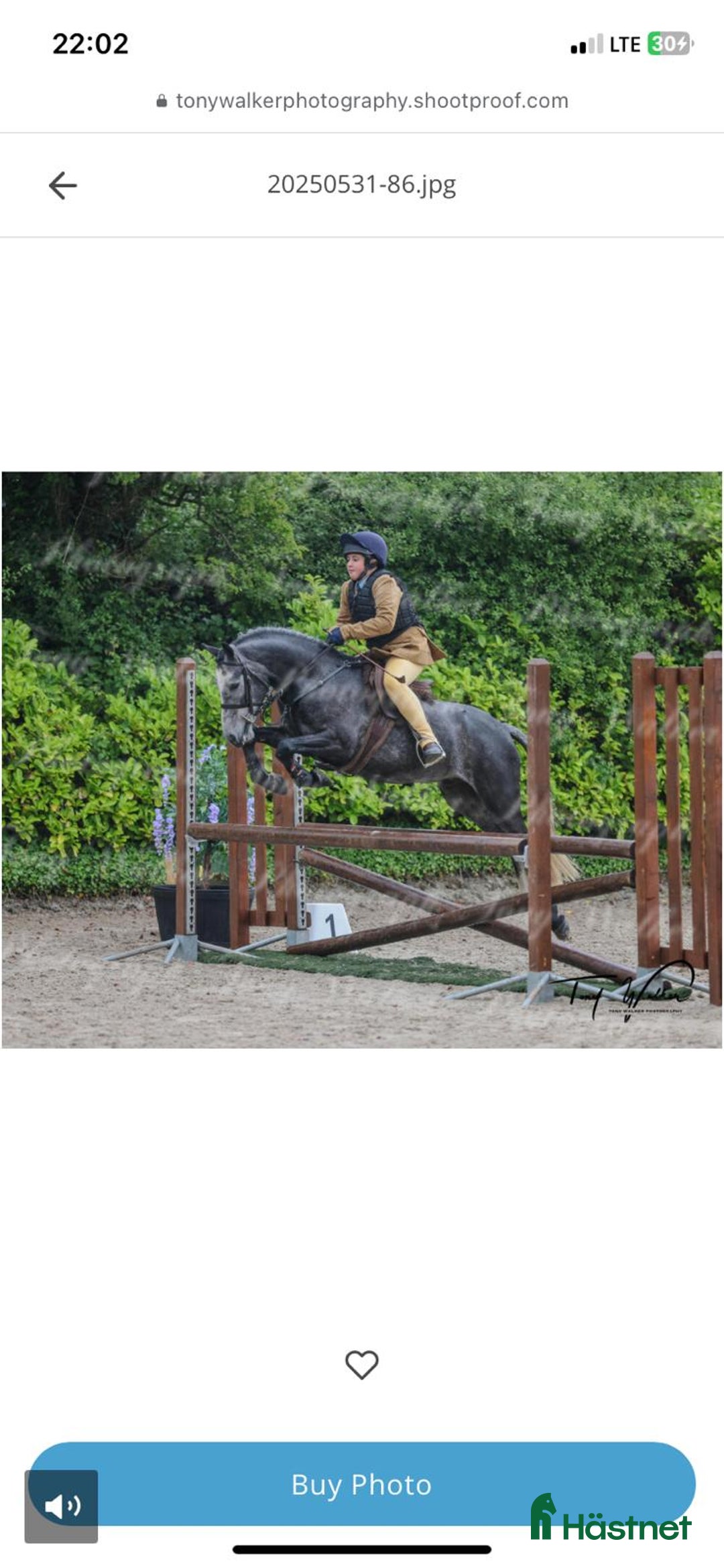 Hoppning hästar till salu: Ungponny SM 2026 i Ängelholm - Annons 5