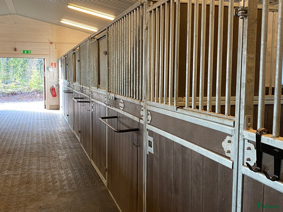  hästgårdar till salu: Charmigt stall i lantlig idyll, vackert renoverat! i Edsbro - Annons 24