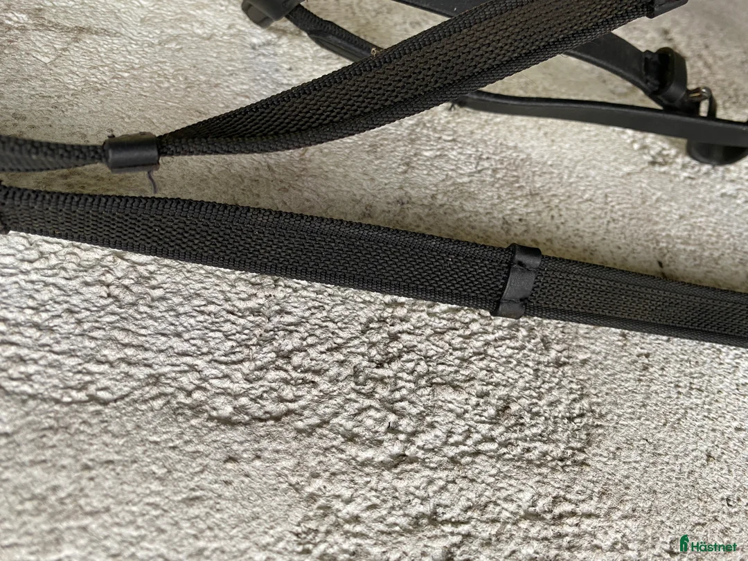 Träns hästutrustning till salu: Träns och kandar - Annons 4