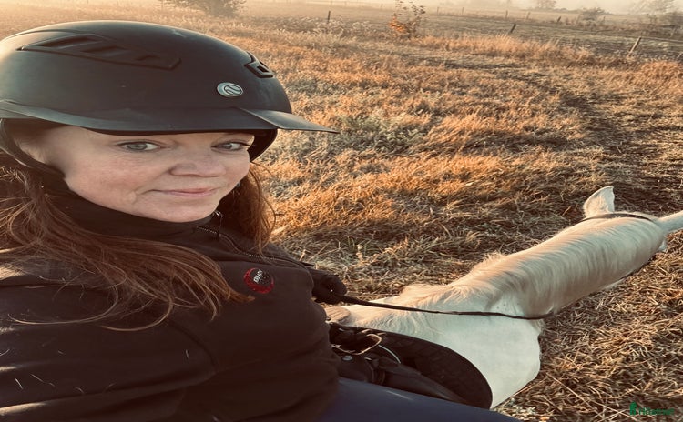  hästar i Uppsala - Annons 2