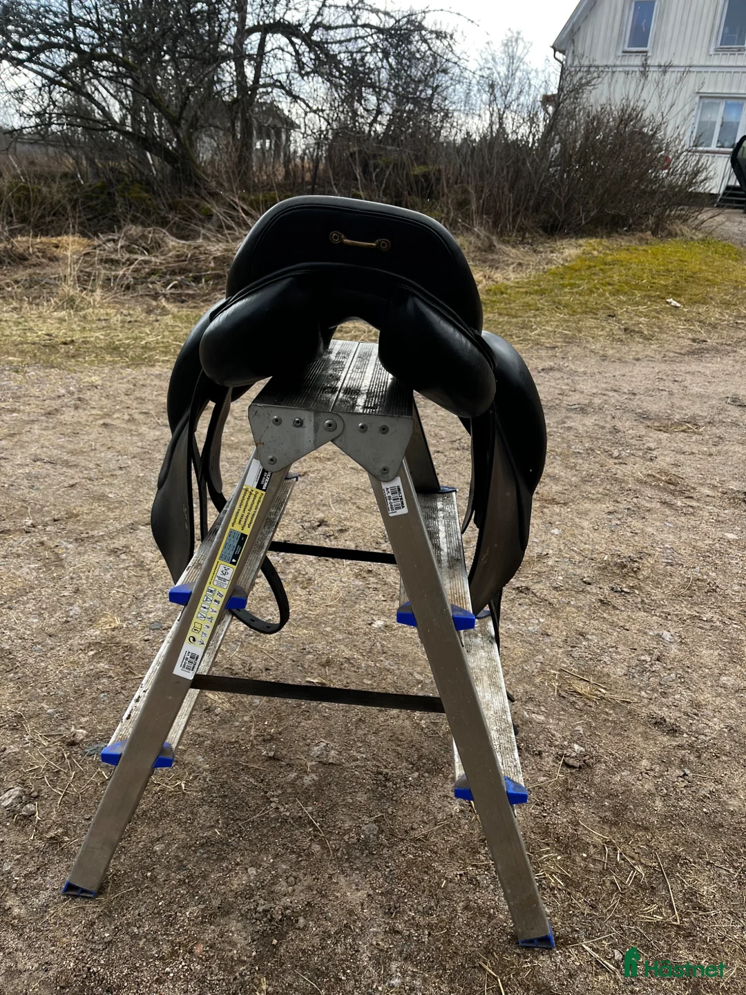 Sadlar hästutrustning till salu: Eques Sella plus  - Annons 2