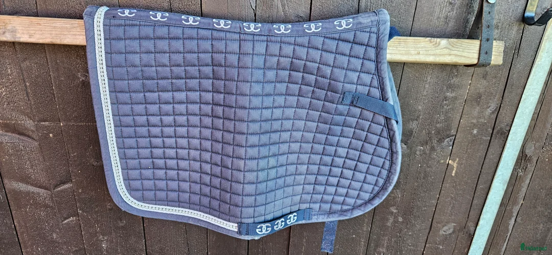 Övrig Hästutrustning hästutrustning till salu: Massa ponny saker i Vingåker - Annons 2