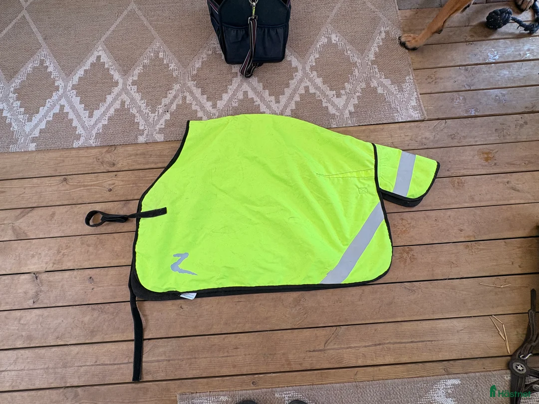 Övrig Hästutrustning hästutrustning till salu: Blandade häst prylar  i Alingsås - Annons 10