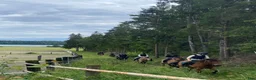  medryttarhäst finnes: 🐴 Medryttare sökes till Karlshems ponnyklubb 🐴 - Annons 3