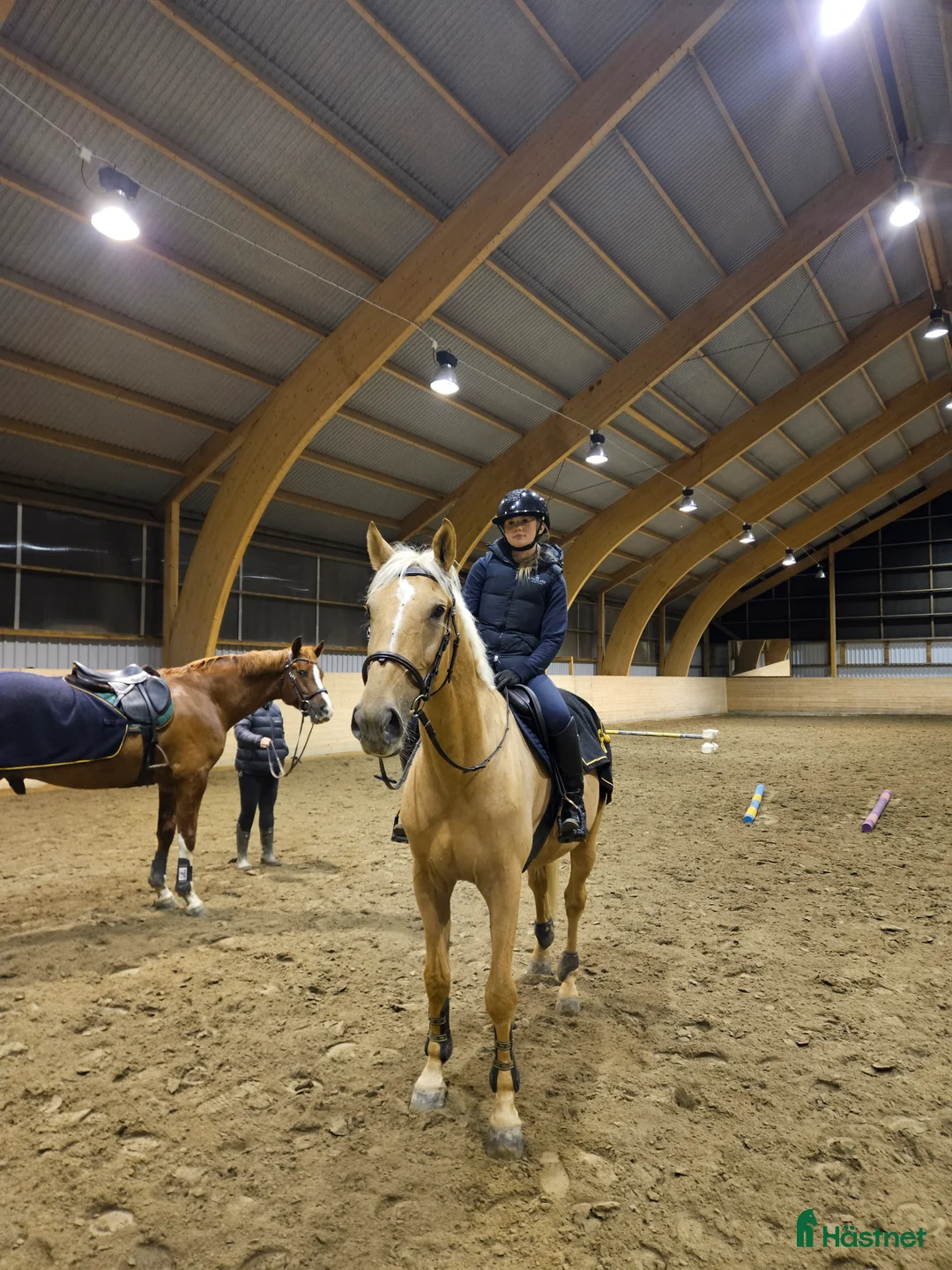  medryttarhäst finnes: Medryttare sökes! - Annons 3