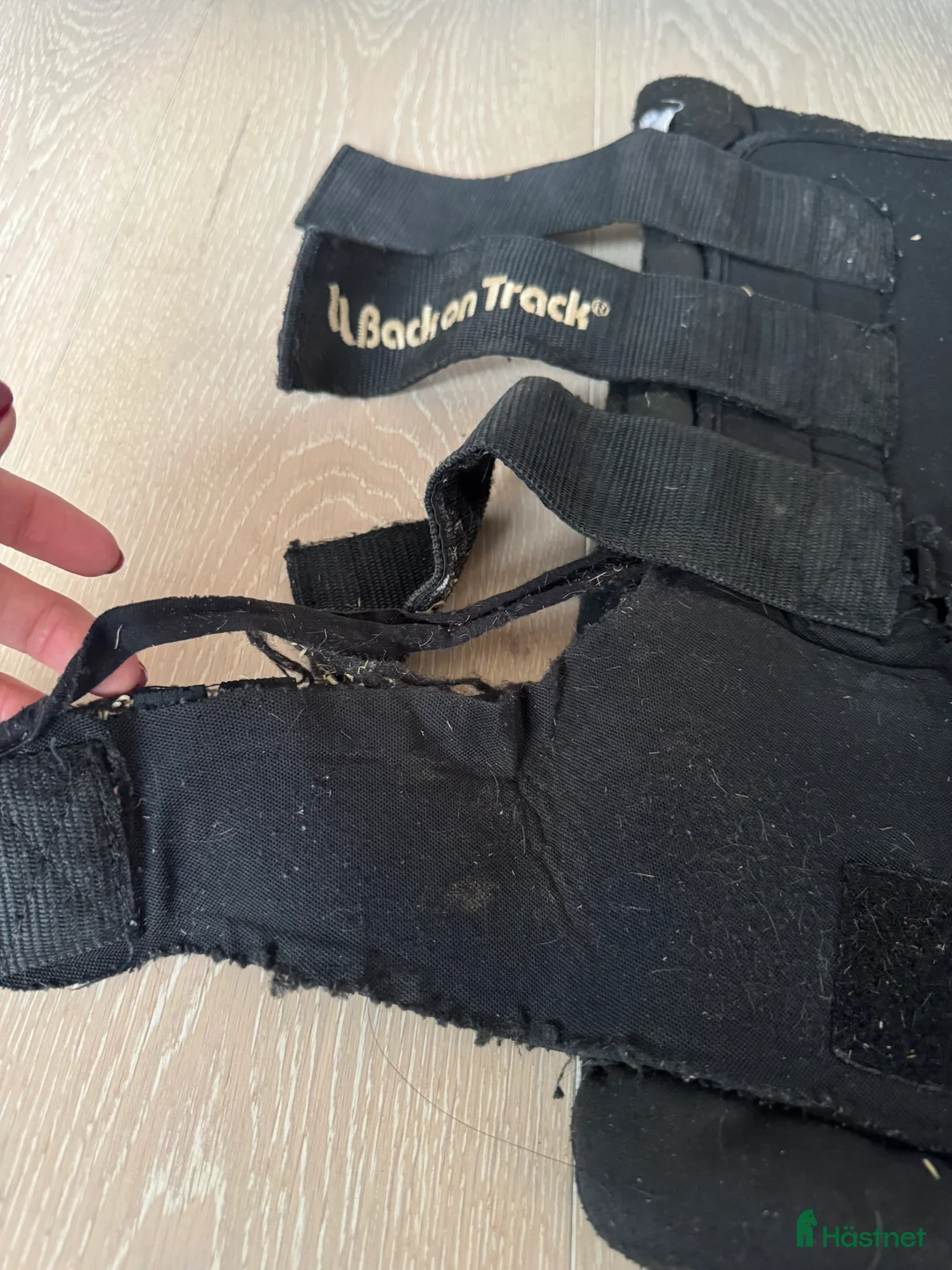 Benskydd hästutrustning till salu: Back on track stallbandage i Älvsjö - Annons 6