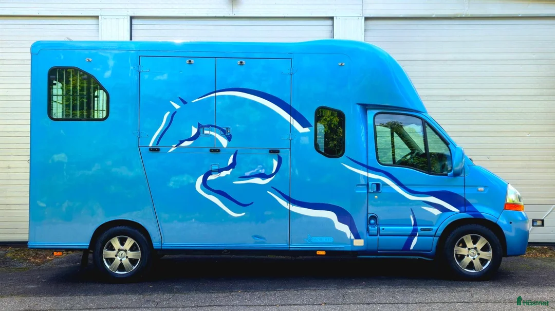 Hästlastbilar  fordon & transport till salu: Theault Morpheo 5-sitsig LÅGMILARE - Annons 2