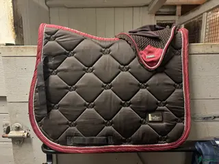 Schabrak & Vojlockar hästutrustning till salu: Esstockholm schabrak & huva - Annons 2