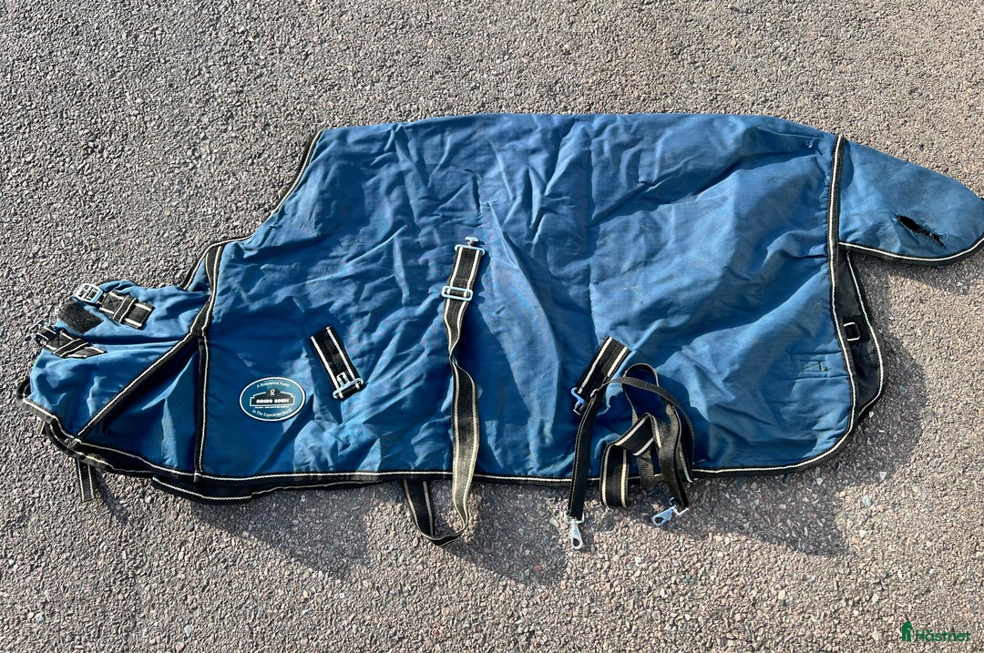 Övrig Hästutrustning hästutrustning till salu: Ponnysaker i Västerås - Annons 10