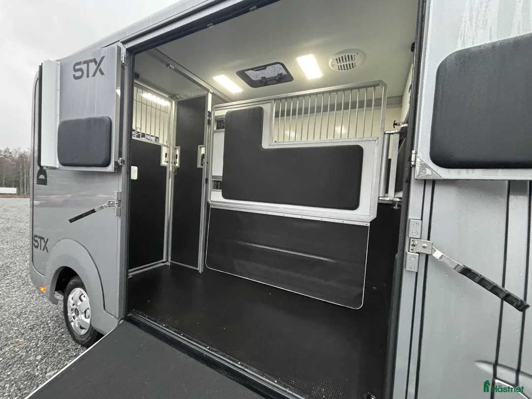 Hästlastbilar  fordon & transport till salu: STX 3-sits Stuteri Automat 2024 i Mariefred - Annons 5