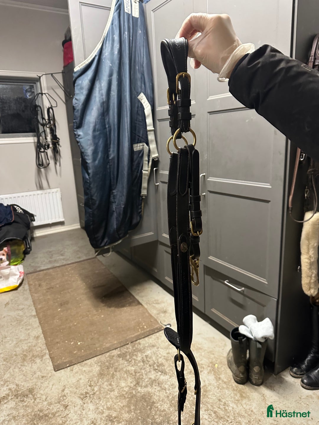 Träns hästutrustning till salu: Antares träns i Norrtälje - Annons 4