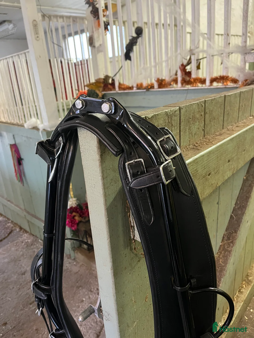 Övrig Travutrustning trav till salu: Anatomisk dragloke  - Annons 3