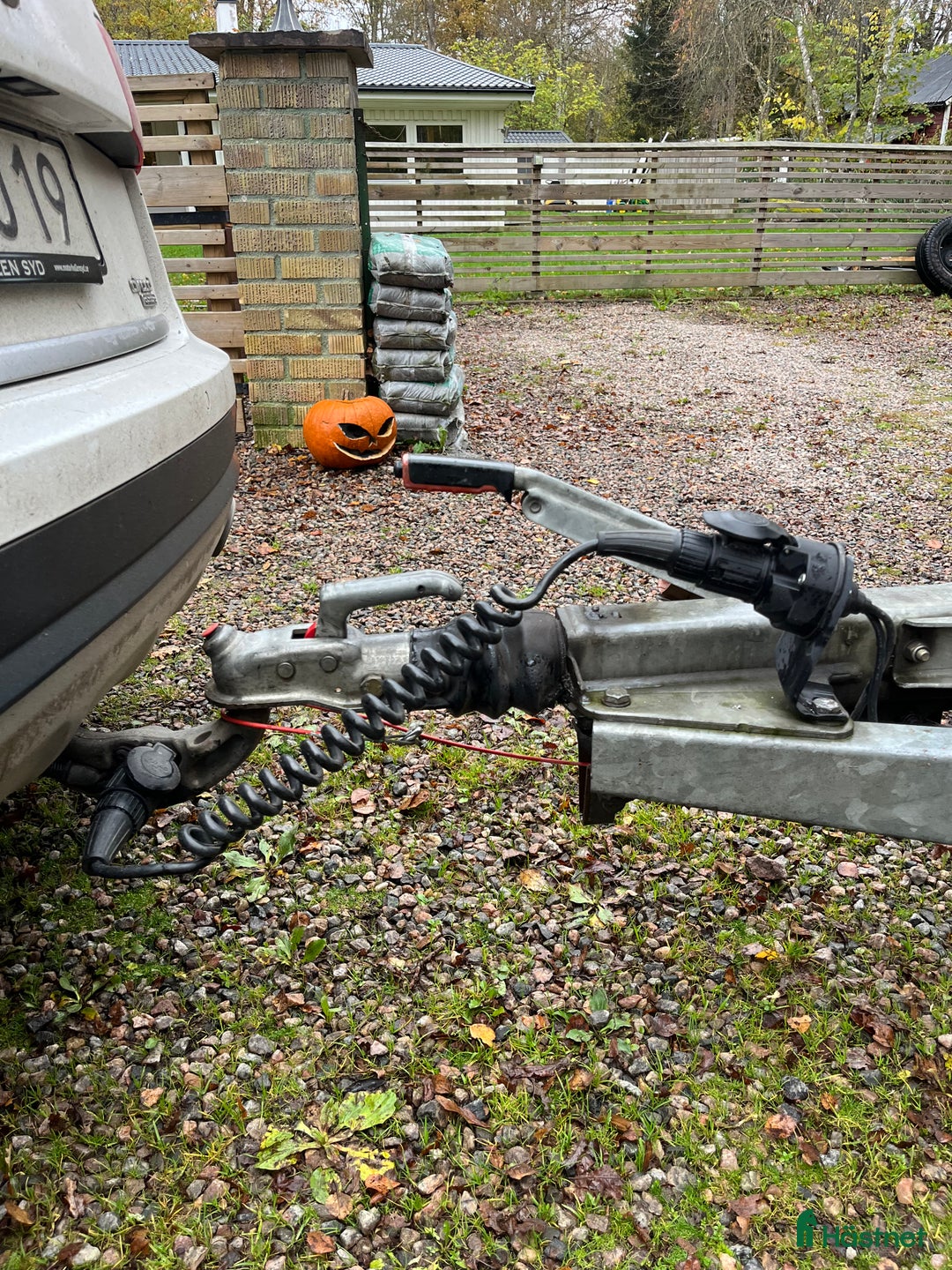 Hästtransporter  fordon & transport till salu: Atec Starline i Höör - Annons 3