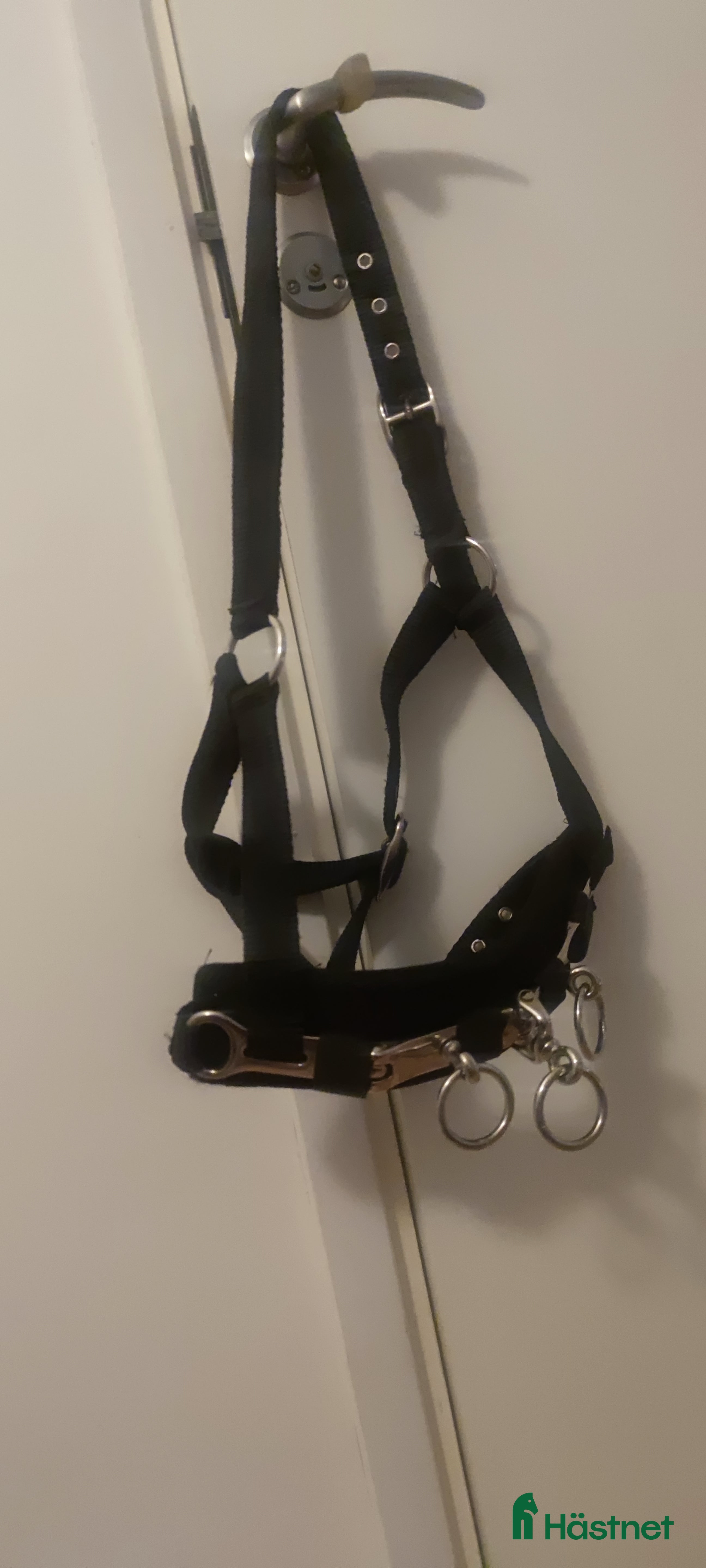 Övrig Hästutrustning hästutrustning till salu: Kapsongrimma textil i Järfälla - Annons 2