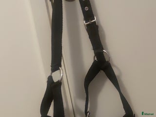 Övrig Hästutrustning hästutrustning till salu: Kapsongrimma textil i Järfälla - Annons 2