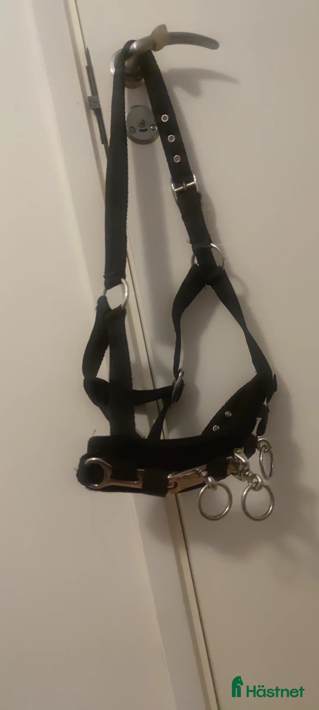 Övrig Hästutrustning hästutrustning till salu: Kapsongrimma textil i Järfälla - Annons 1