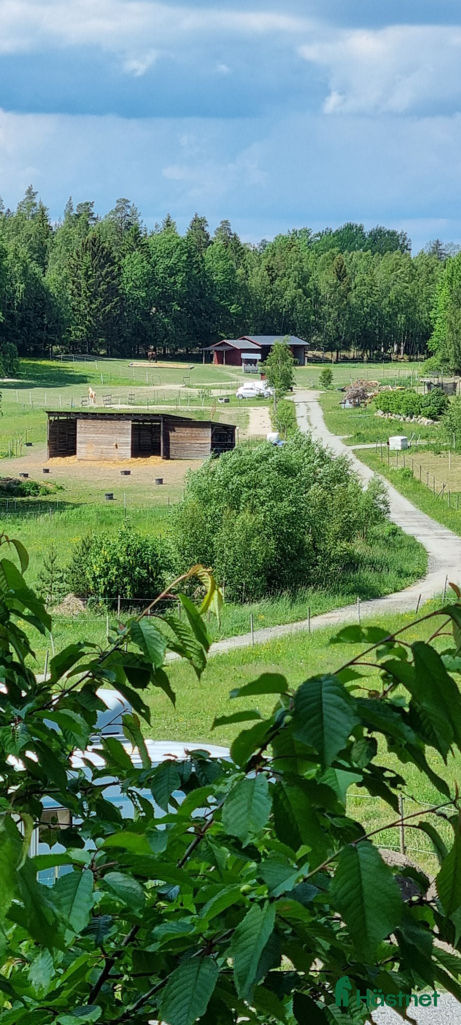  stallplats Lösdrift med blandflock - Annons 2