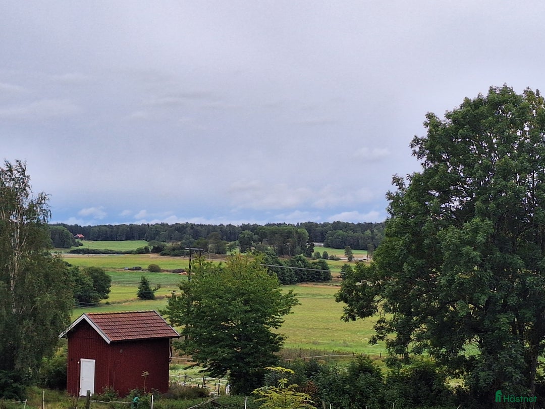  stallplats finnes: Stallplats Ekeby Säteri I Tungelsta  i Tungelsta - Annons 6