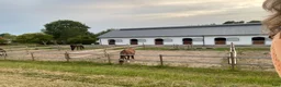  stallplats finnes: Boxplatser lediga i nybyggt stall och ridhus 2022. - Annons 6