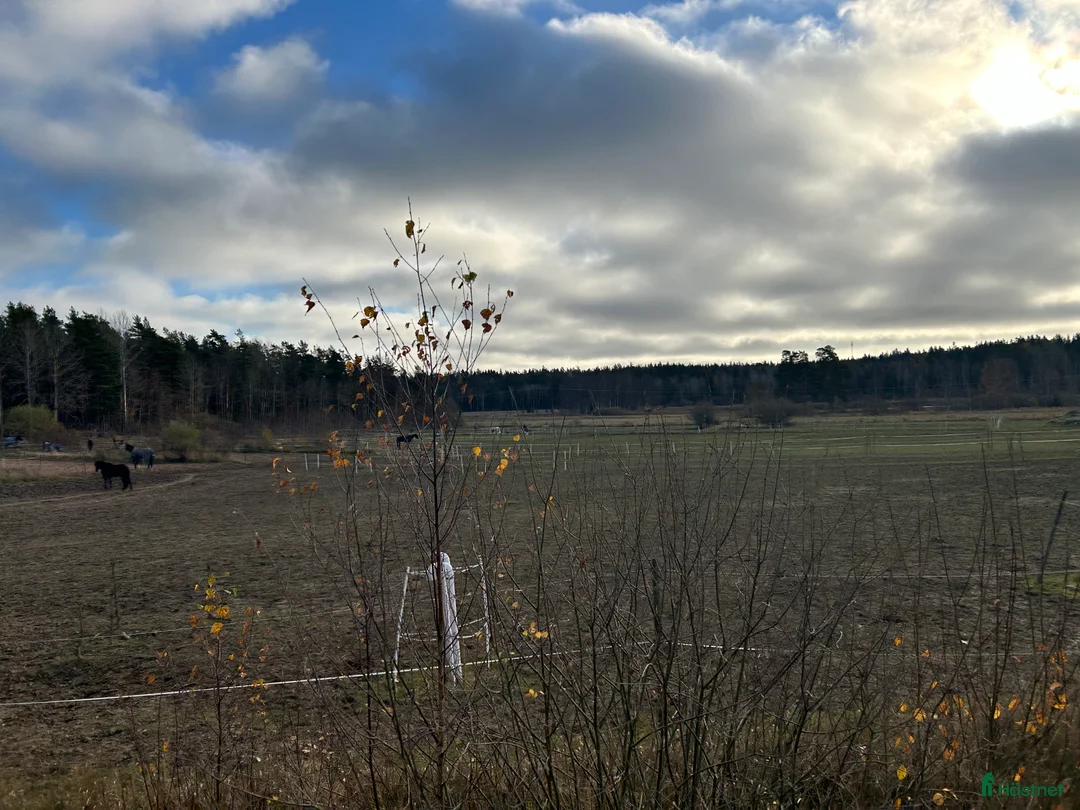  stallplats finnes: Stall med bra rid/körvägar, lång utevistelse i Tungelsta - Annons 13