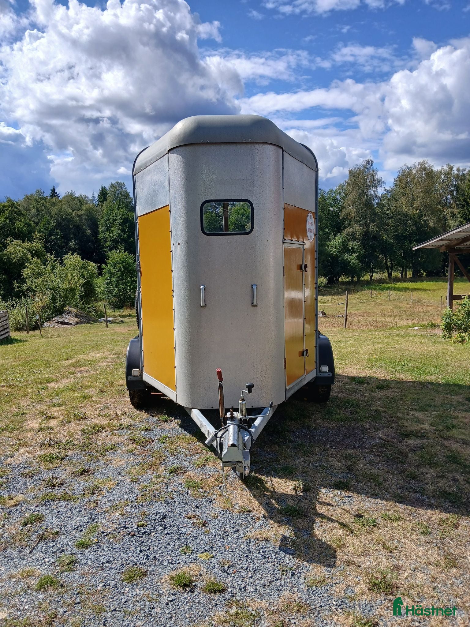Hästtransporter  fordon & transport till salu: Ifor Williams HB505 Nytt golv & däck, hög lastvikt - Annons 5