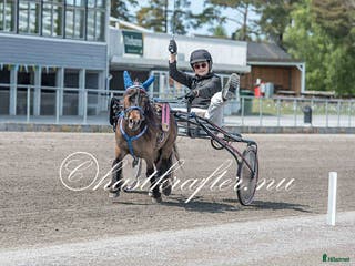 hästar Toppstammat sto för den satsande!!! i Klagstorp - Annons 10