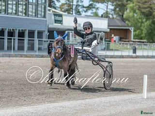 hästar Toppstammat sto för den satsande!!! i Klagstorp - Annons 19