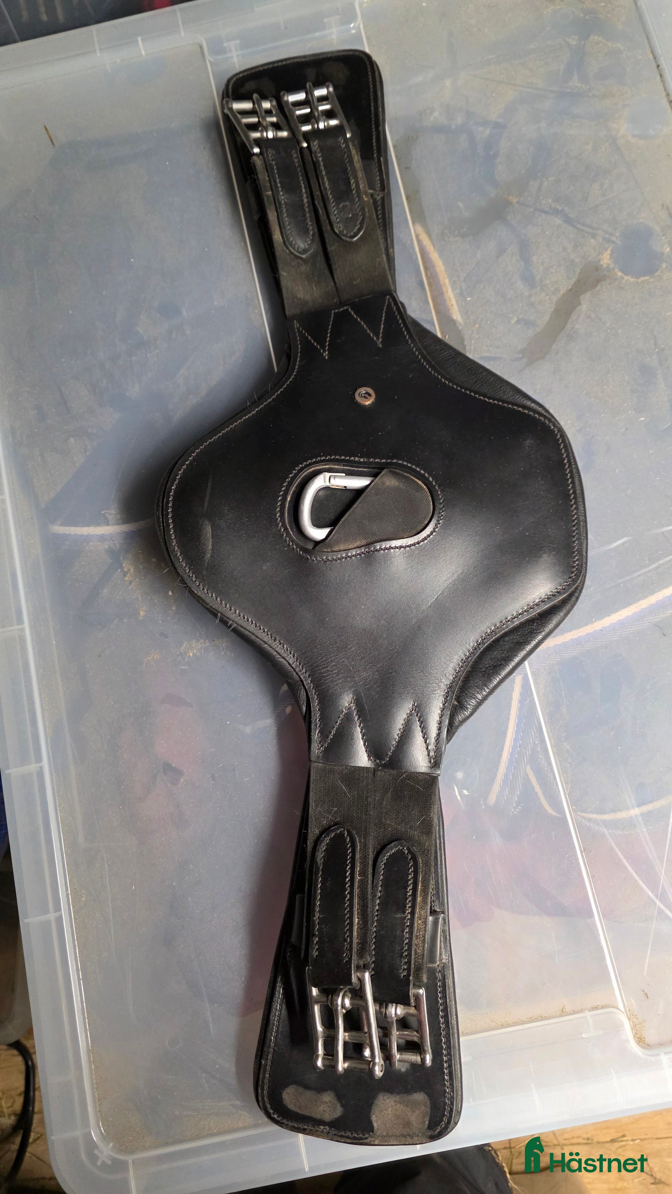 Sadeltillbehör hästutrustning Dressyrgjord  - Annons 16
