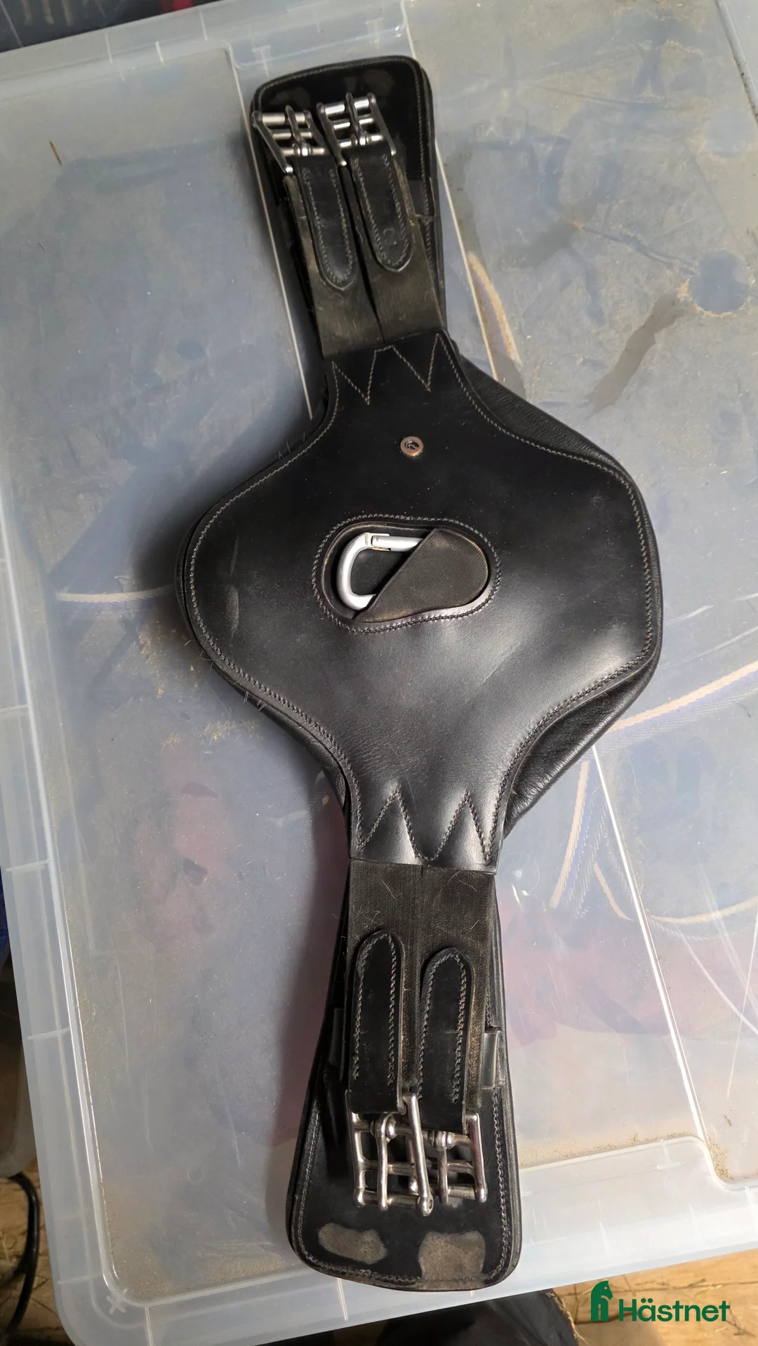 Sadeltillbehör hästutrustning till salu: Dressyrgjord  - Annons 1