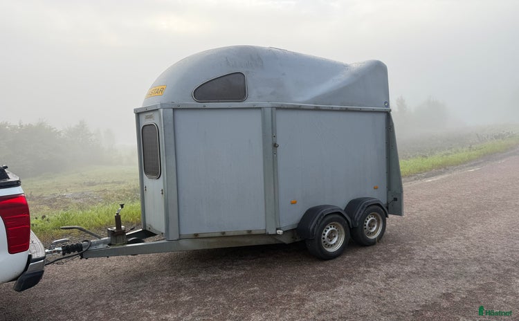 Hästtransporter  fordon & transport till salu i Borlänge - Annons 15