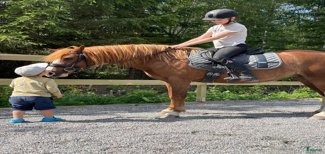 Galleribild {{count}}