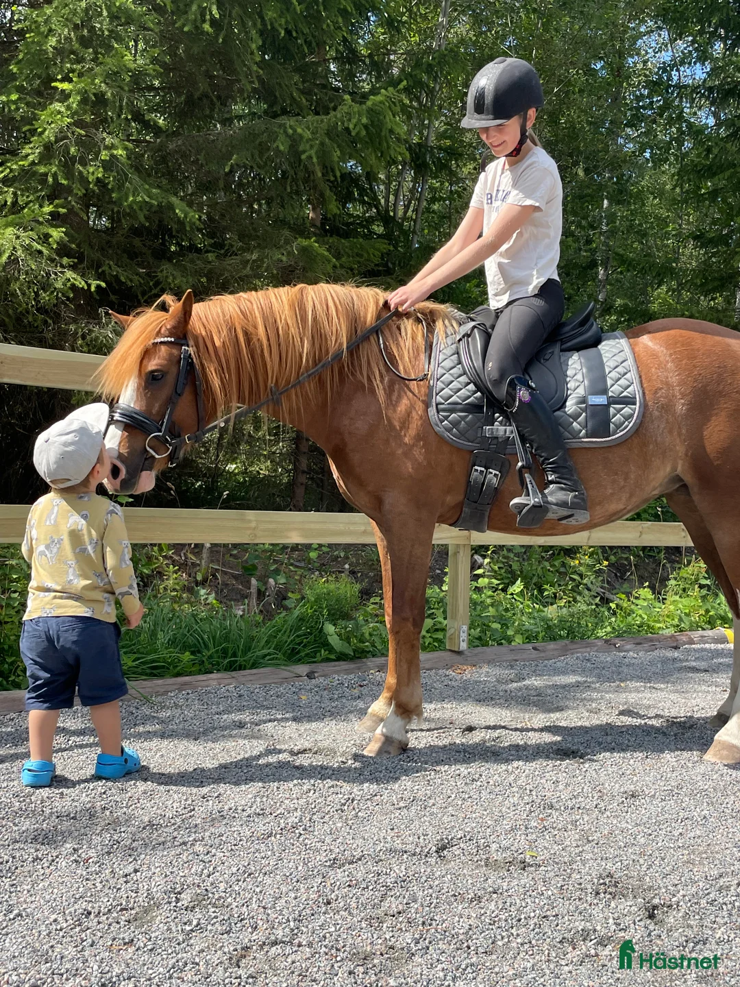 Galleribild {{count}}