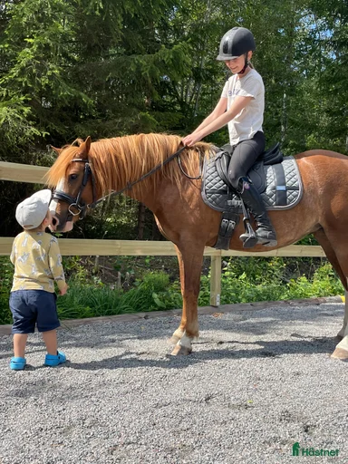 Galleribild {{count}}