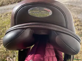 Sadlar hästutrustning Frank Baines reflex hoppsadel - Annons 1