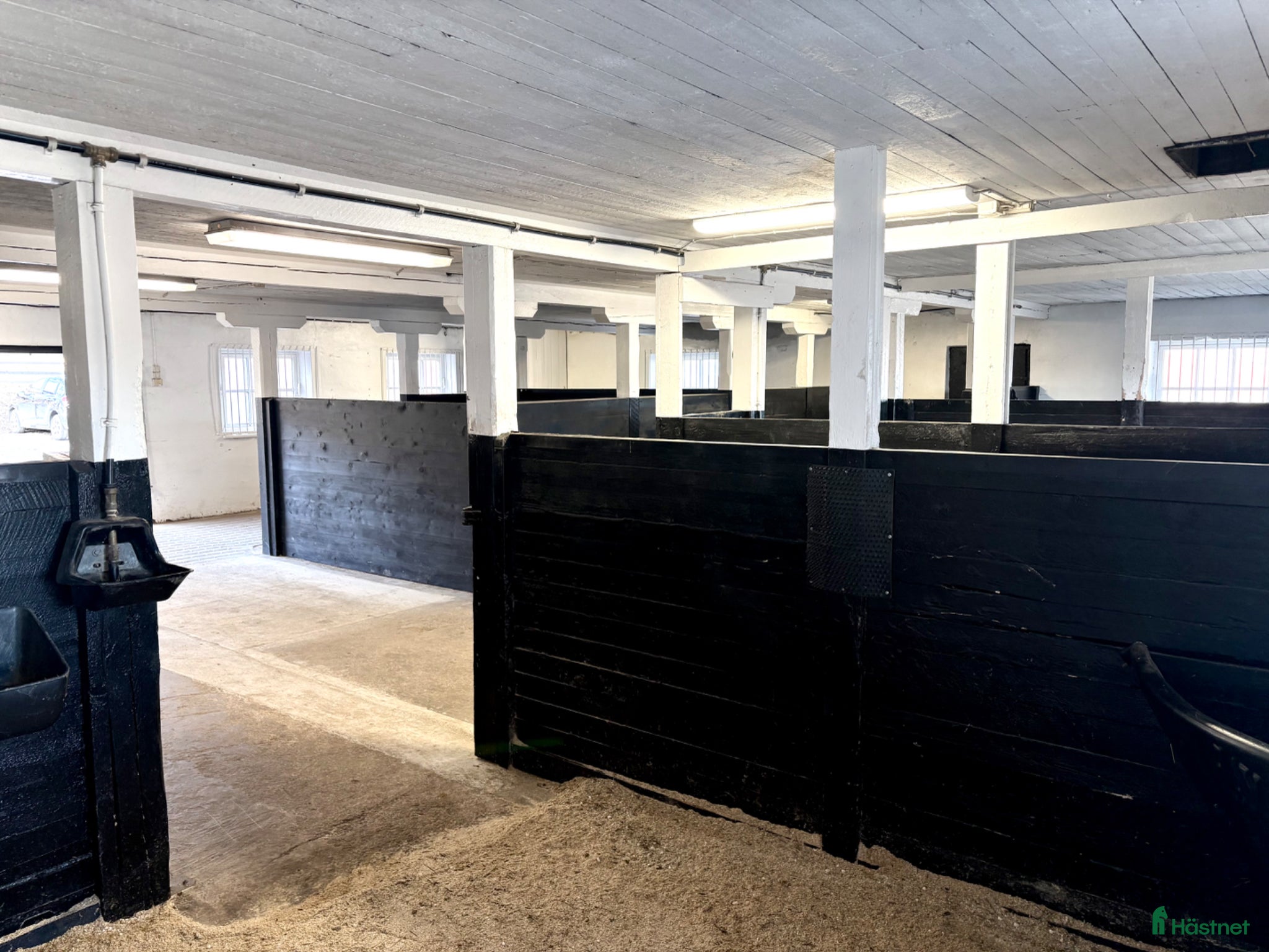  stallplats Stallkamrater sökes inför sommaren 🌻 - Annons 2