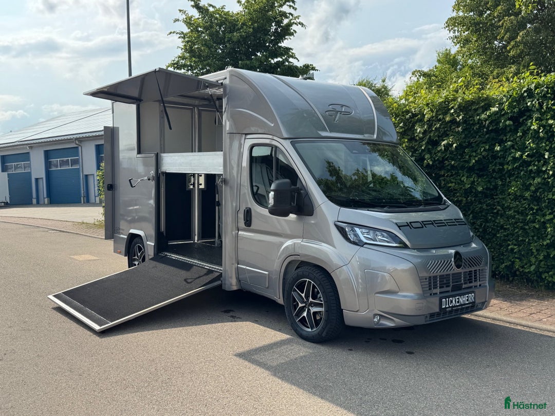 Hästlastbilar  fordon & transport till salu: Dickenherr 2-Ride 180 hk Automat i Haverdal - Bild 5