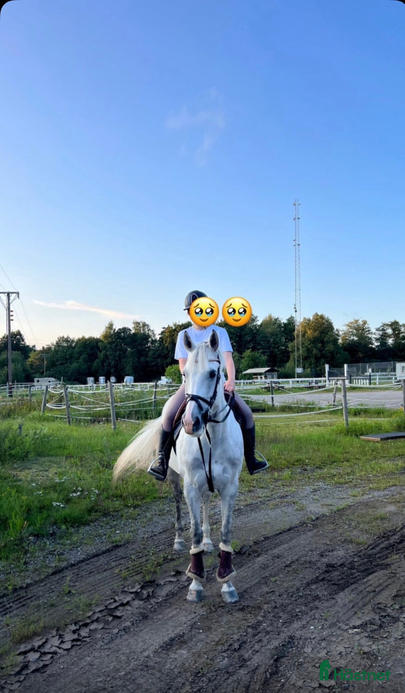 Hoppning hästar till salu: Maxad-D ponny Salu - Annons 2