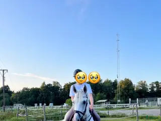 hästar Maxad-D ponny Salu - Annons 17